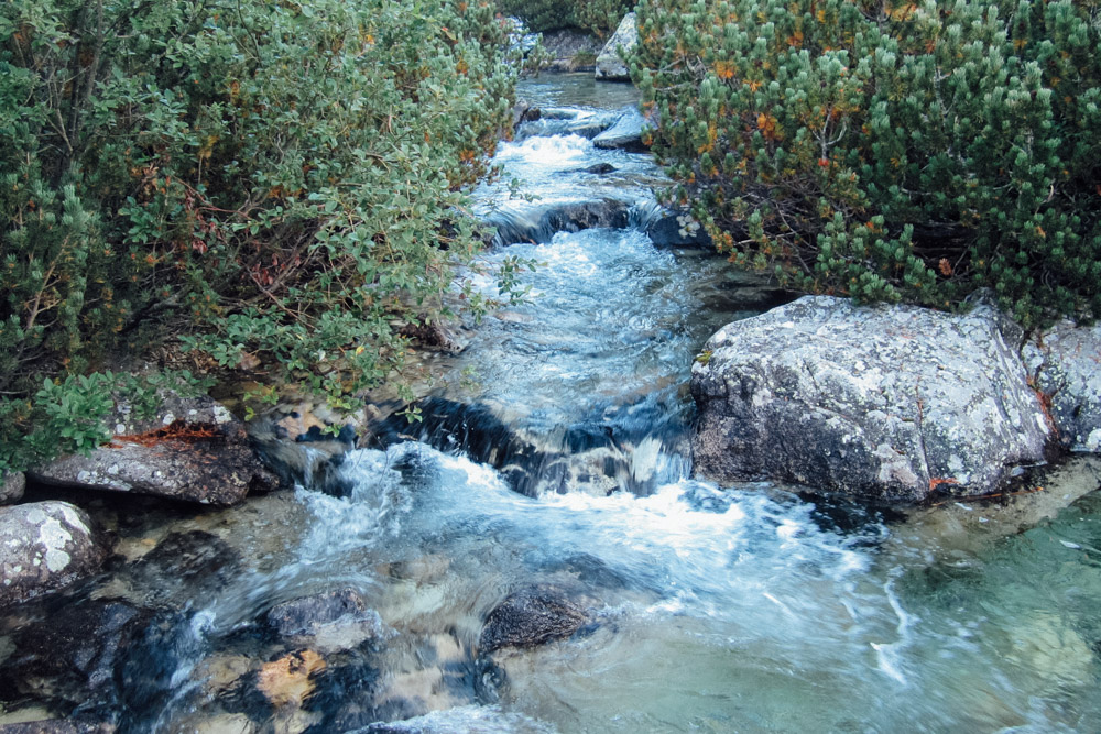 Mein Urlaub in der Hohen Tatra